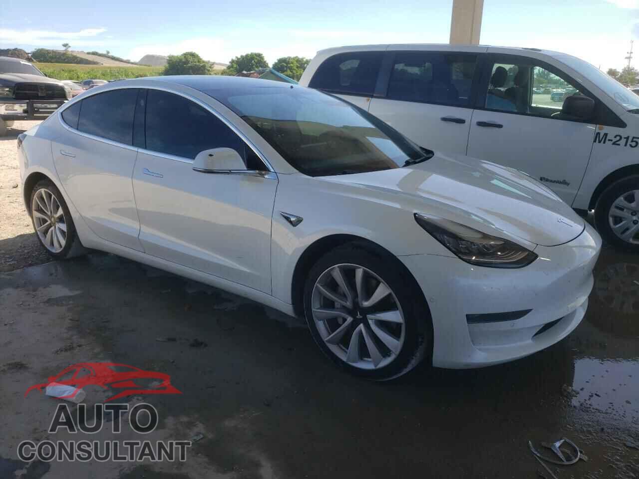 TESLA MODEL 3 2019 - 5YJ3E1EA9KF466388
