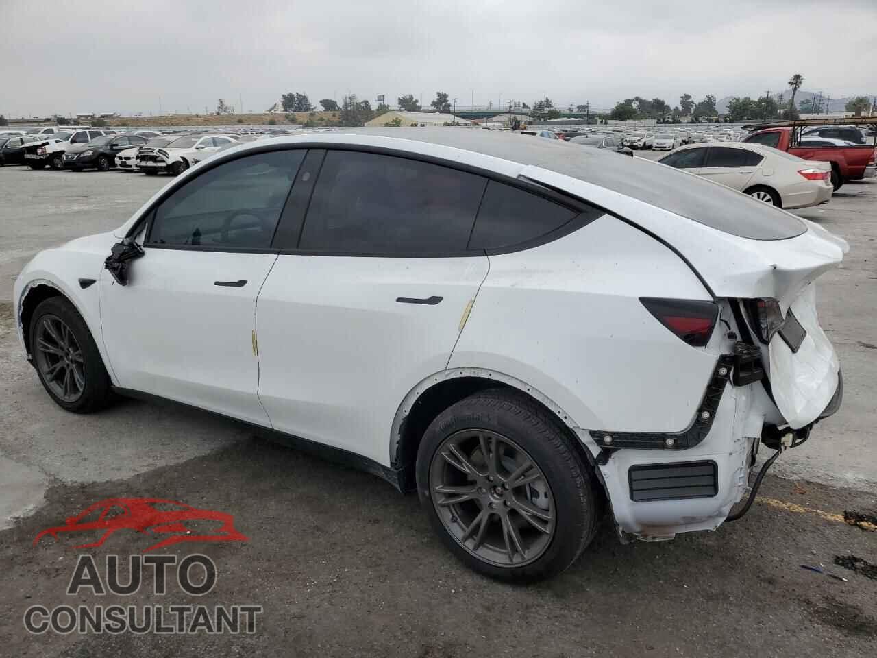 TESLA MODEL Y 2024 - 7SAYGDED6RF101045