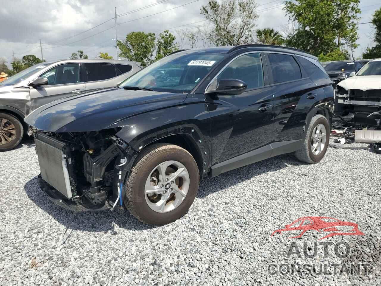 HYUNDAI TUCSON 2024 - 5NMJBCDE5RH323544