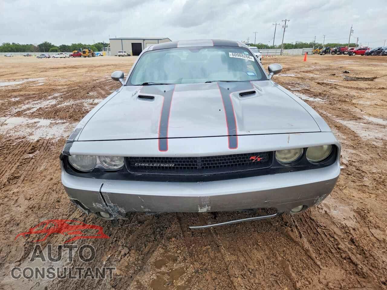 DODGE CHALLENGER 2013 - 2C3CDYBTXDH619489