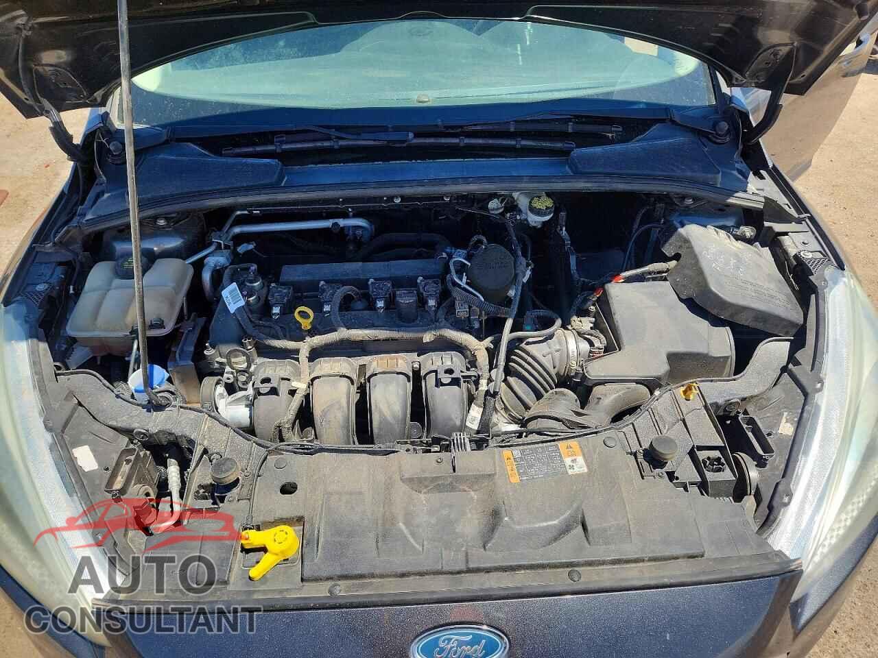 FORD FOCUS 2016 - 1FADP3F22GL245971