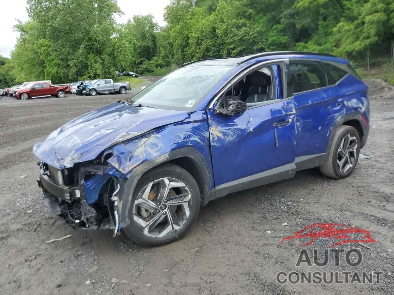 HYUNDAI TUCSON 2023 - 5NMJECAE2PH255387