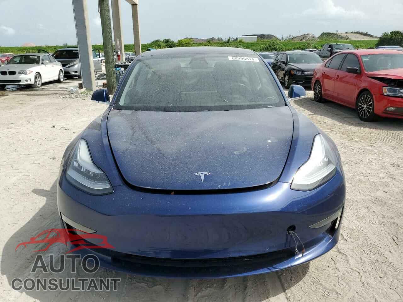TESLA MODEL 3 2019 - 5YJ3E1EB1KF365029