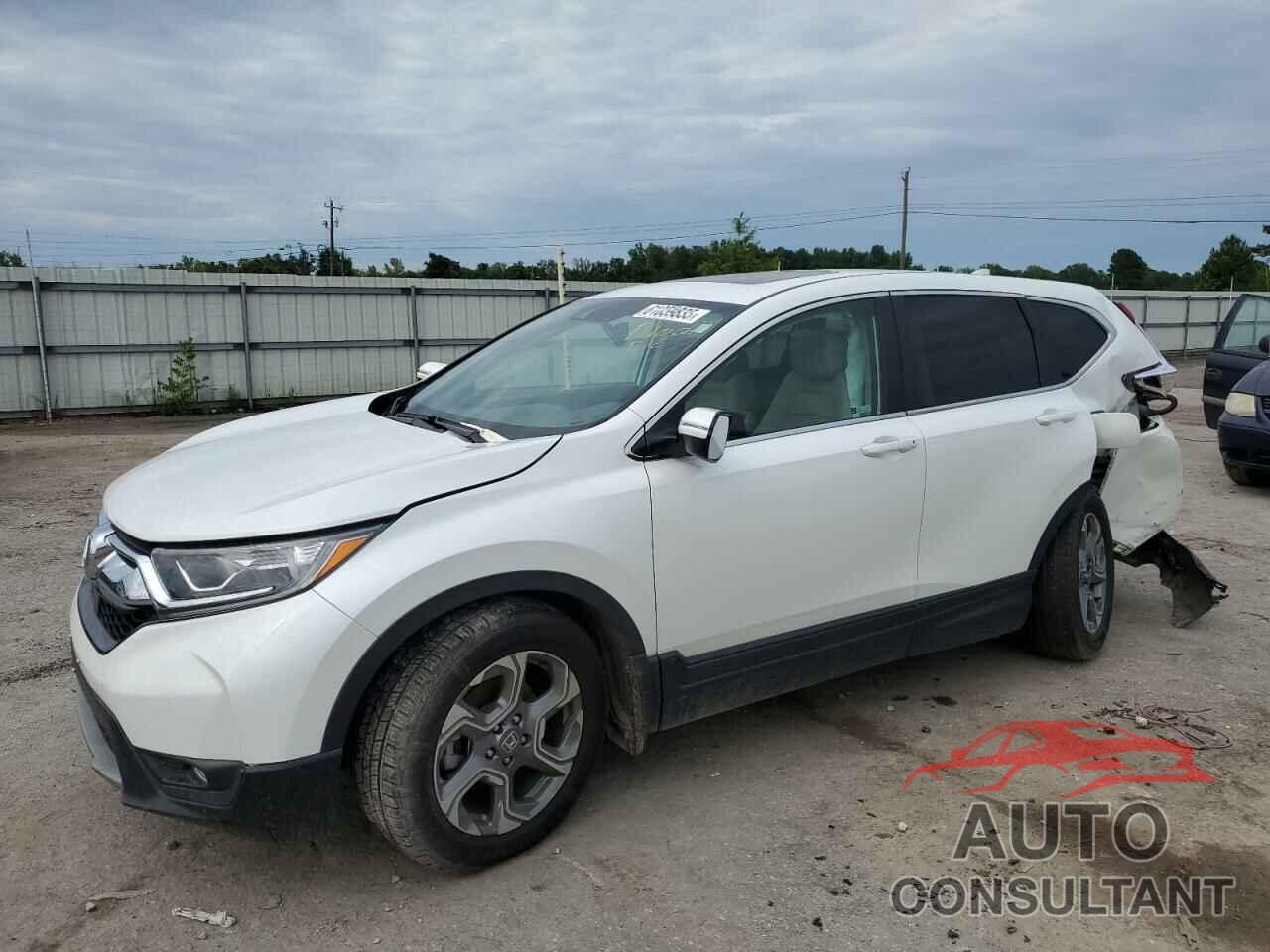 HONDA CRV 2019 - 7FARW1H84KE033808