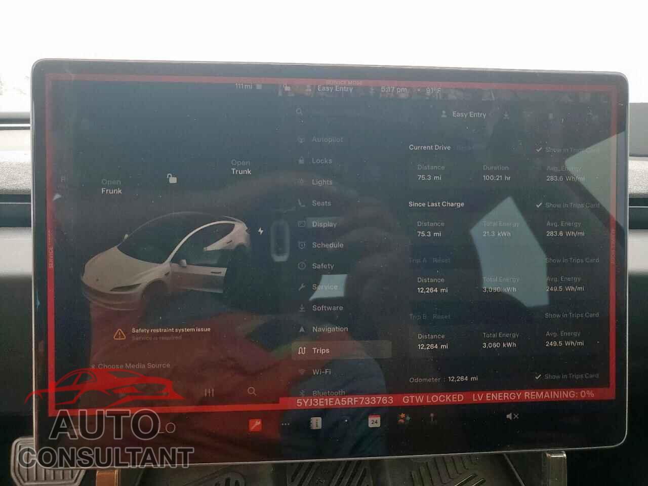 TESLA MODEL 3 2024 - 5YJ3E1EA5RF733763