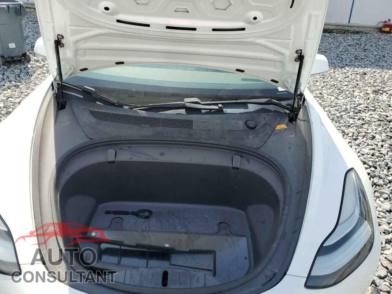 TESLA MODEL 3 2019 - 5YJ3E1EA5KF299821