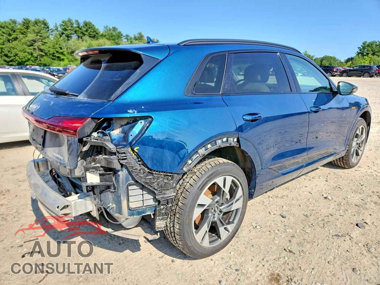 AUDI E-TRON 2021 - WA1AAAGE8MB038315
