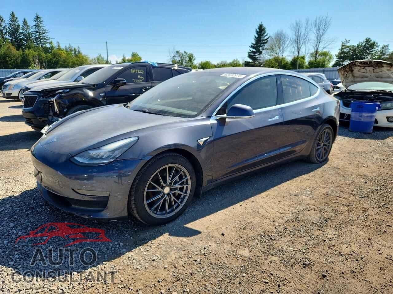TESLA MODEL 3 2019 - 5YJ3E1EA4KF321663