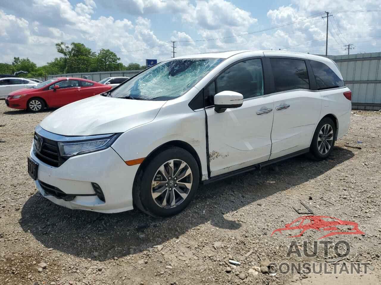 HONDA All Models 2021 - 5FNRL6H72MB032846