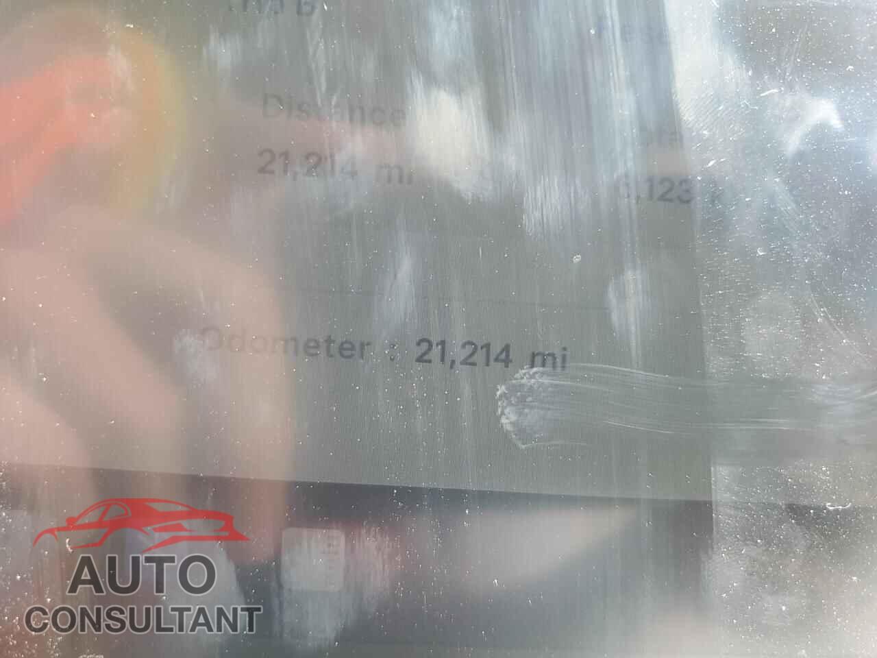 TESLA MODEL Y 2024 - 7SAYGDEEXRF065160
