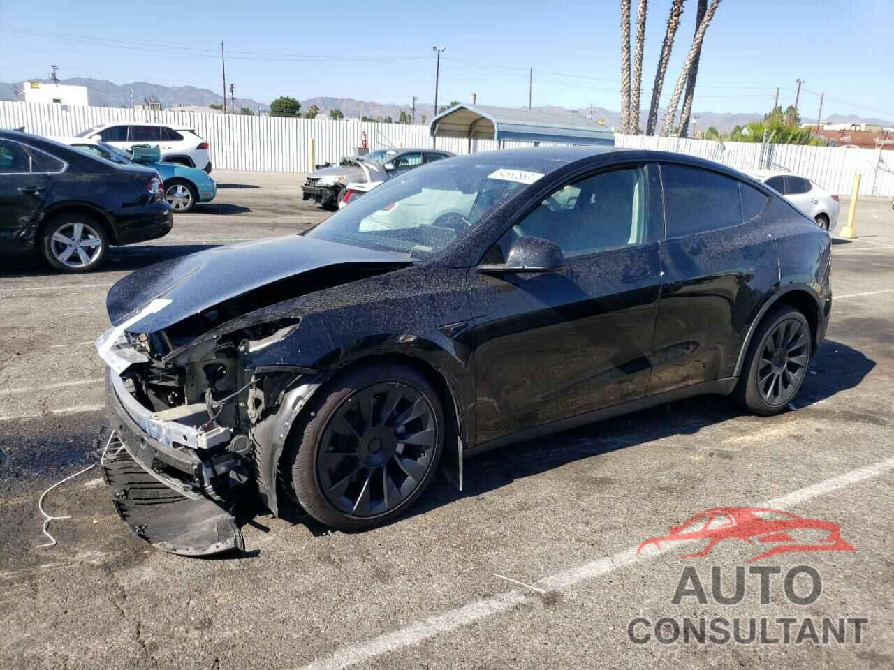 TESLA MODEL Y 2022 - 7SAYGDEE5NF553796