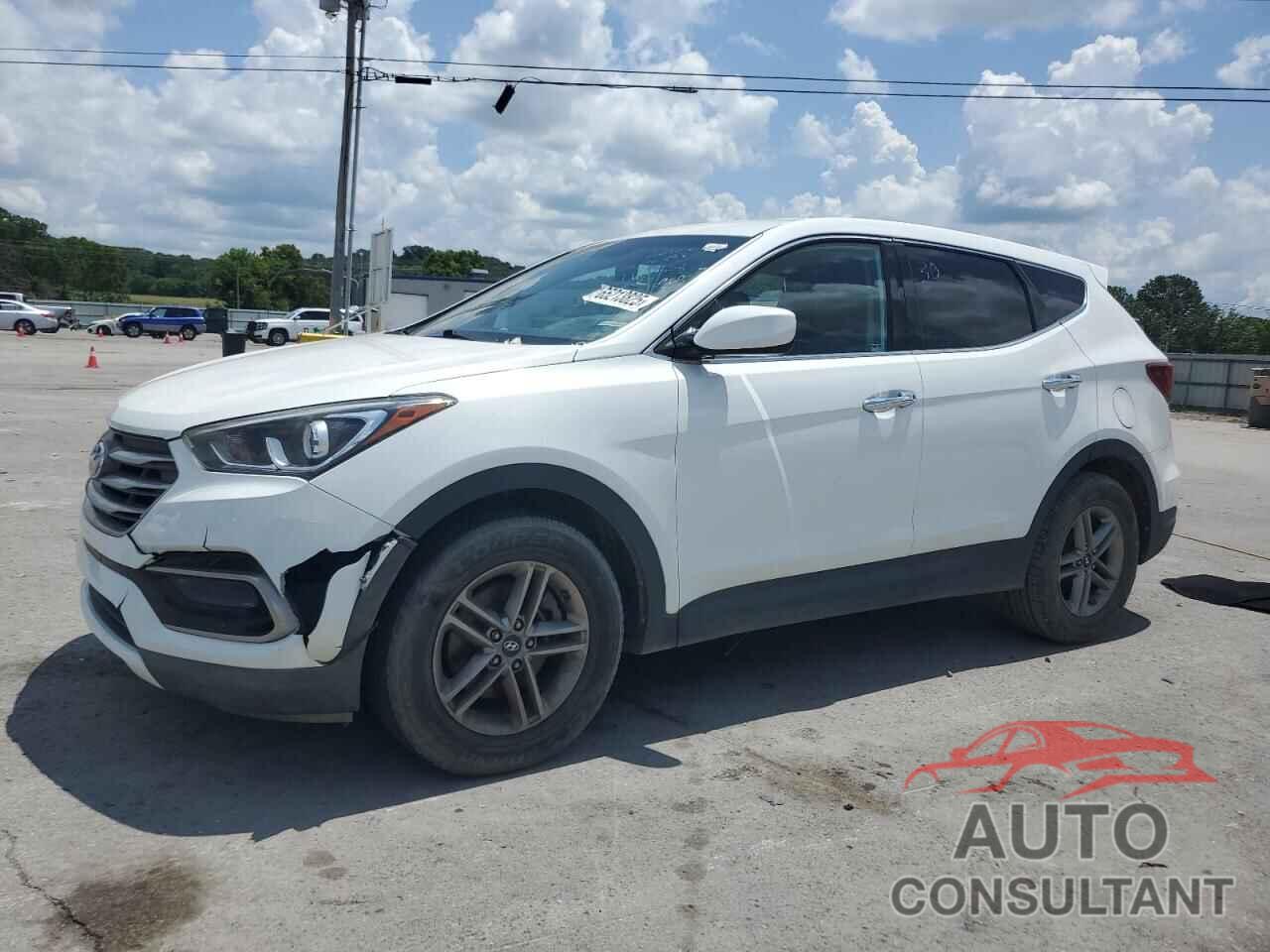 HYUNDAI SANTA FE 2017 - 5NMZTDLB0HH000420