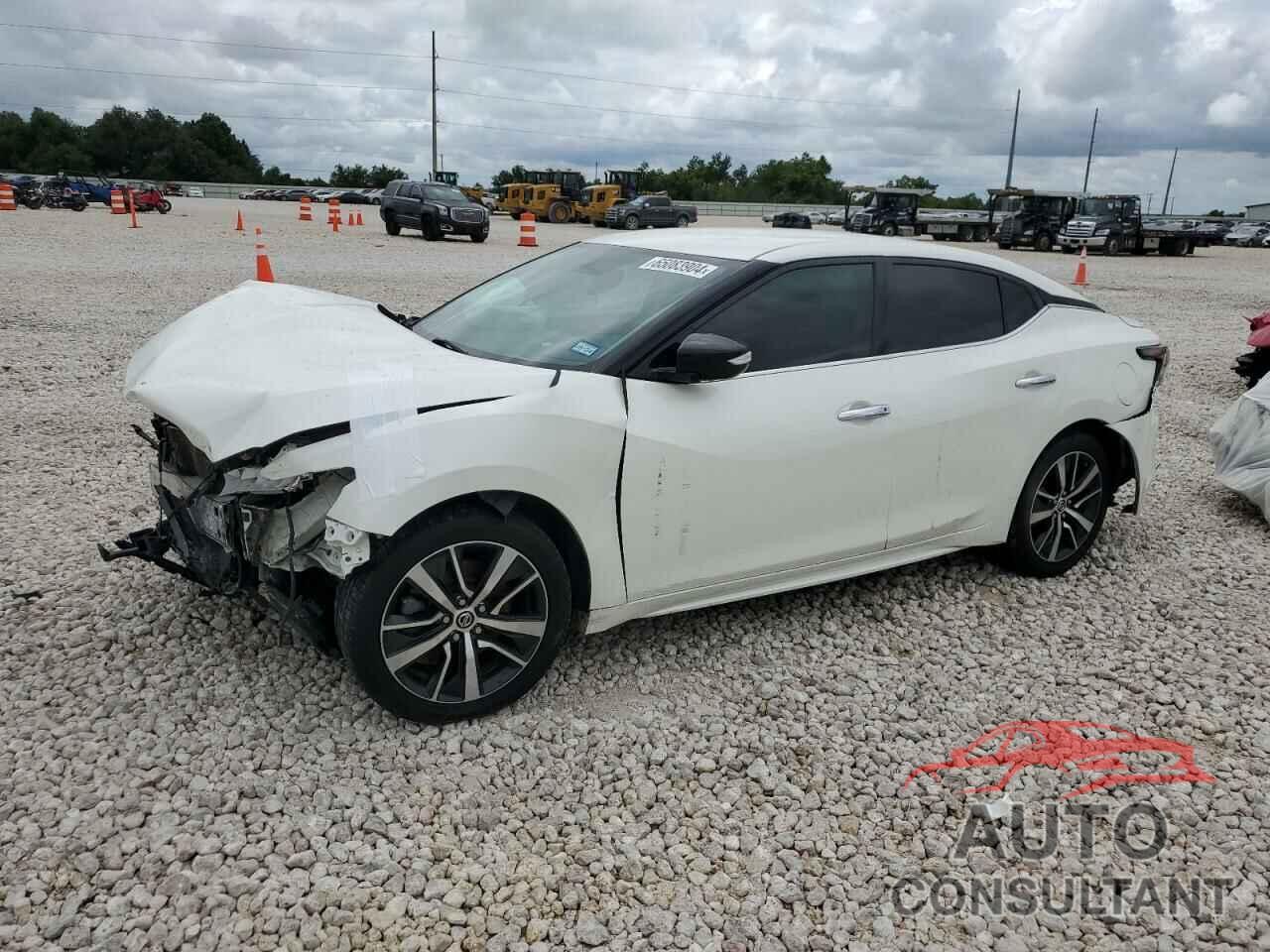 NISSAN MAXIMA 2019 - 1N4AA6AV2KC369884