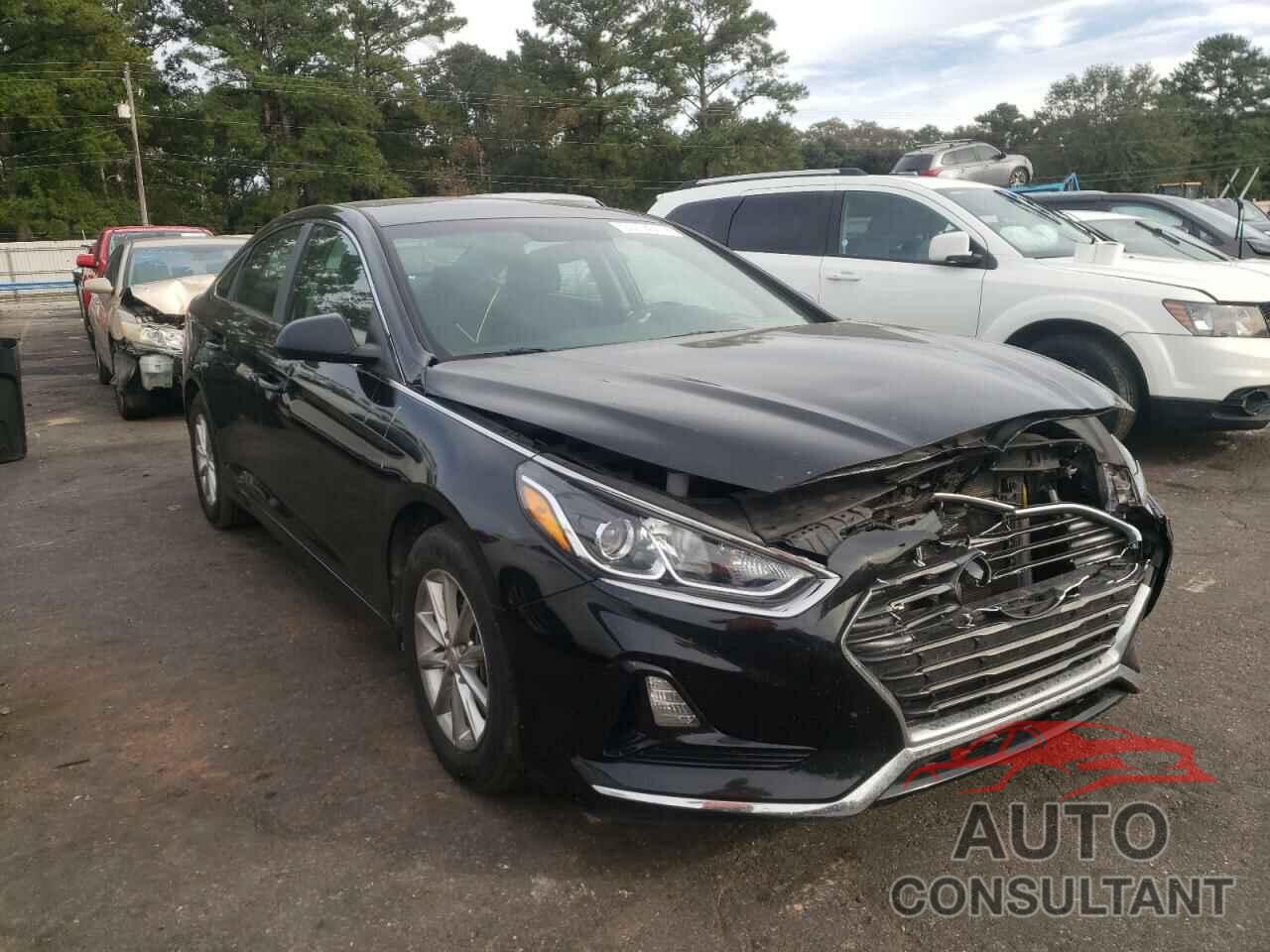 HYUNDAI SONATA 2019 - 5NPE24AF7KH757820