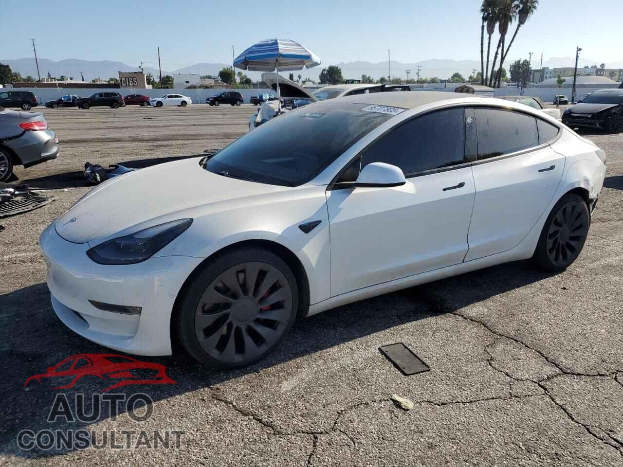 TESLA MODEL 3 2021 - 5YJ3E1EC3MF079193