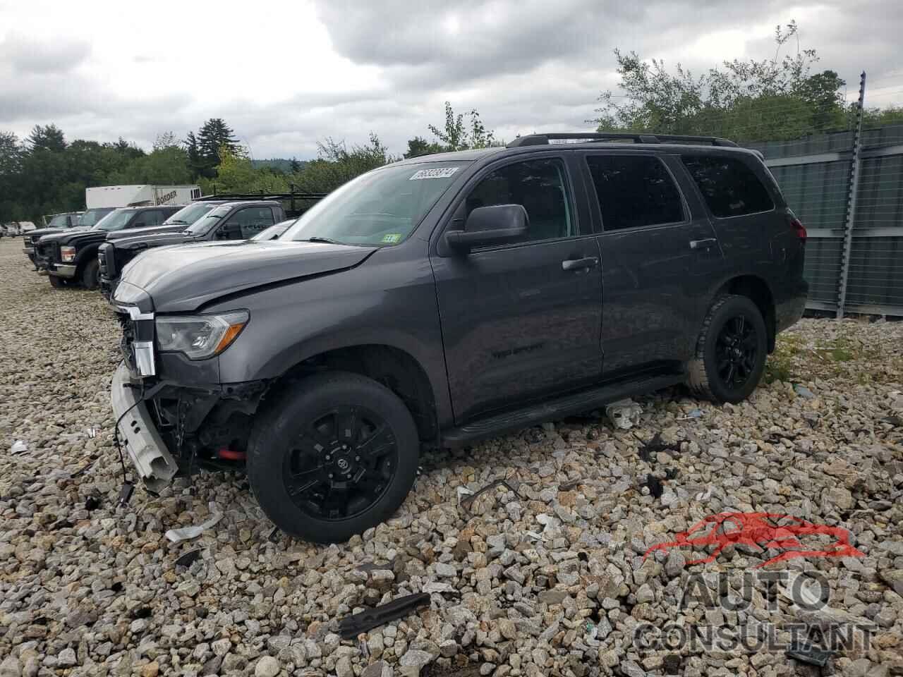 TOYOTA SEQUOIA 2019 - 5TDBY5G19KS174324