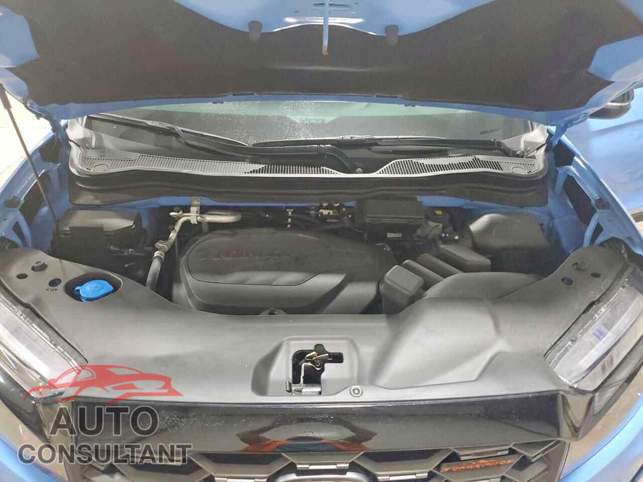 HONDA RIDGELINE 2025 - 5FPYK3F75SB045885