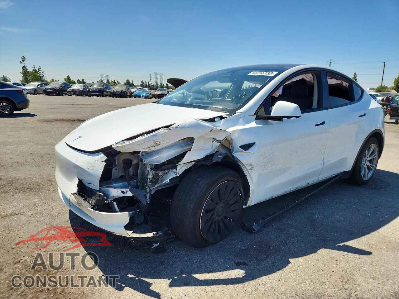 TESLA MODEL Y 2024 - 7SAYGAEE4RF059580