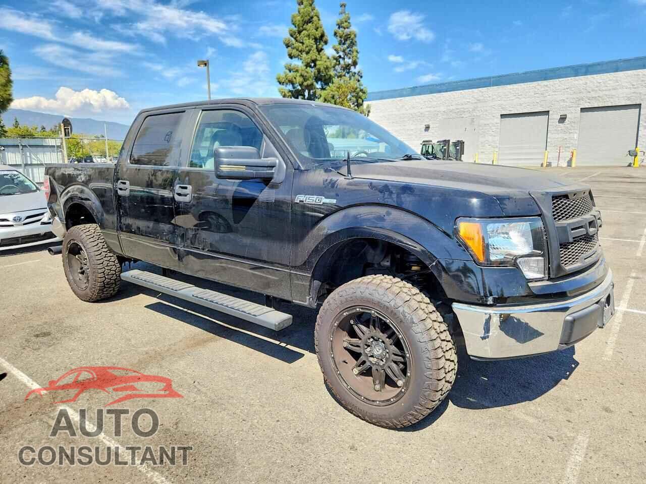 FORD F150 2009 - 1FTRW12829KB49588