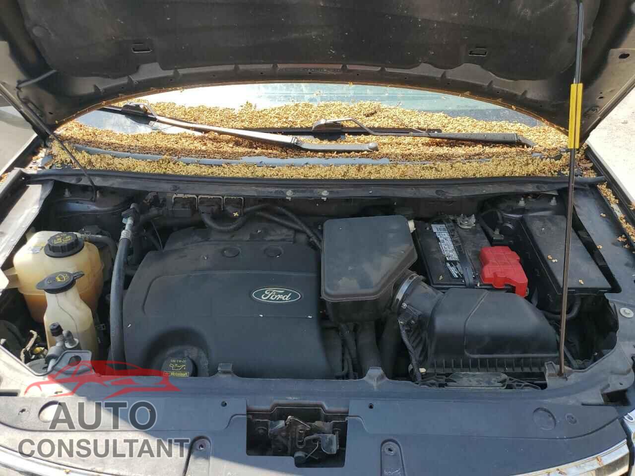 FORD EDGE 2013 - 2FMDK3JC8DBC92518