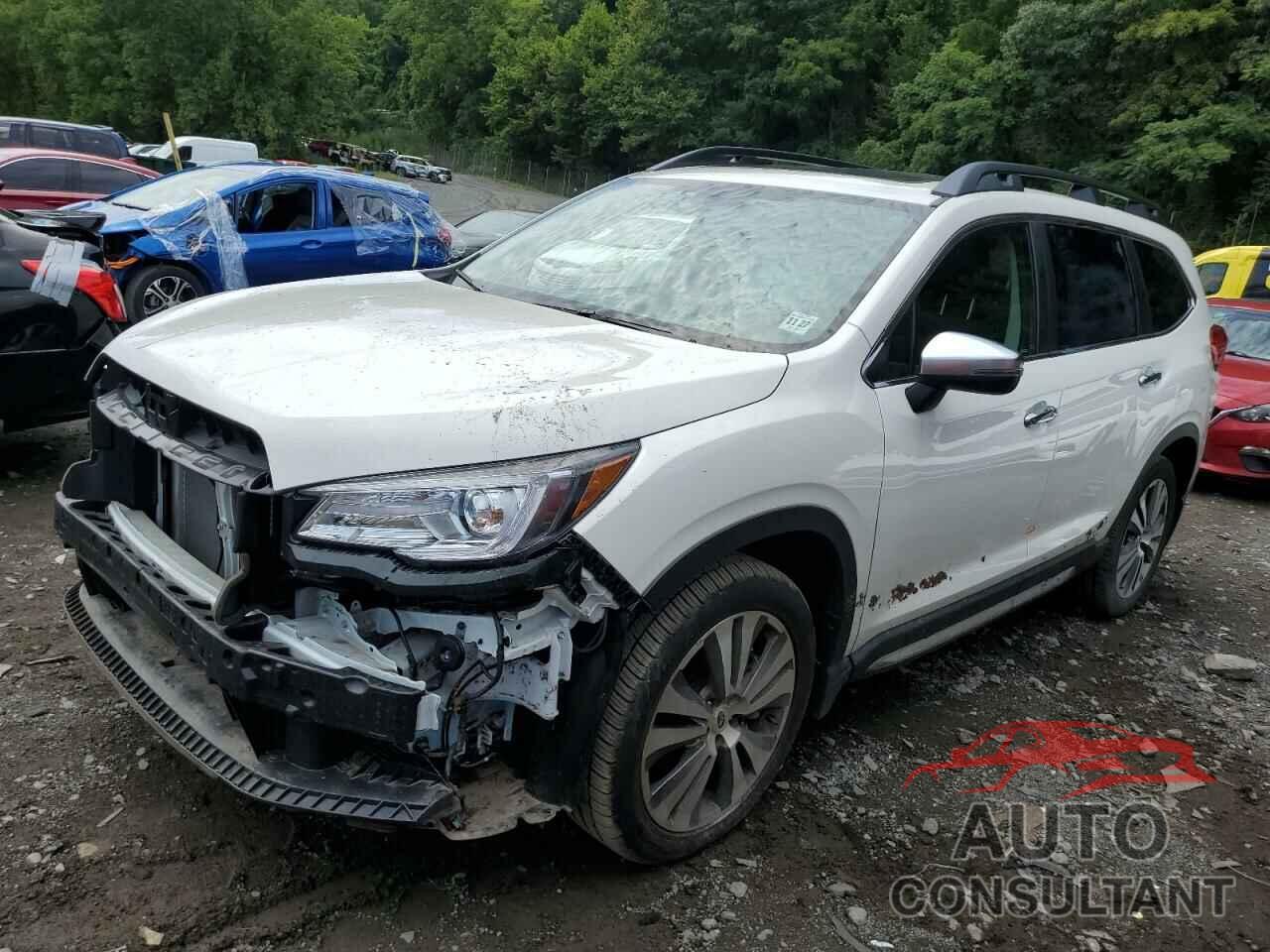 SUBARU ASCENT 2022 - 4S4WMARD5N3465546