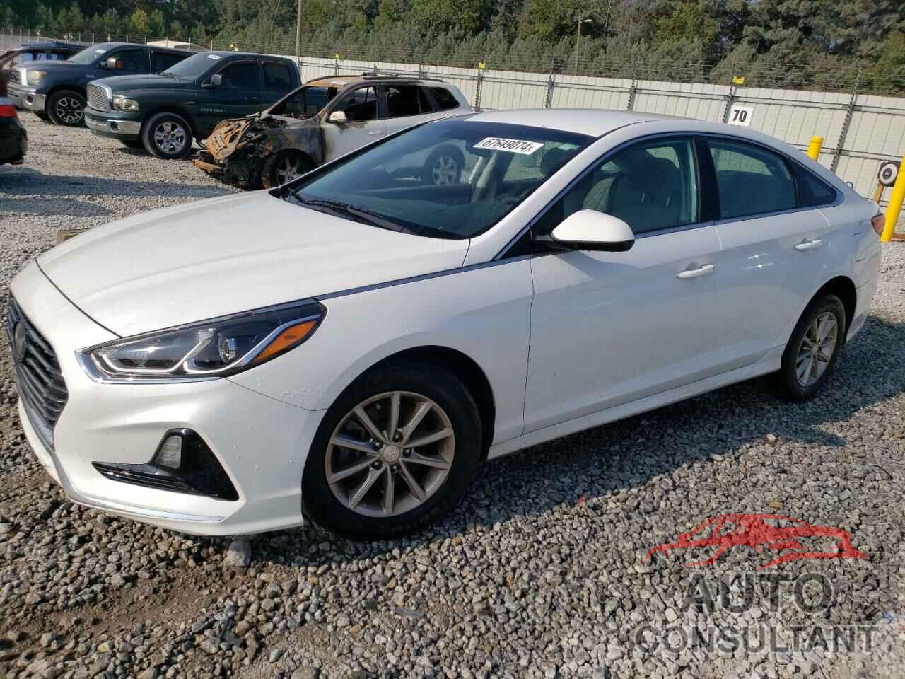 HYUNDAI SONATA 2019 - 5NPE24AF7KH795127