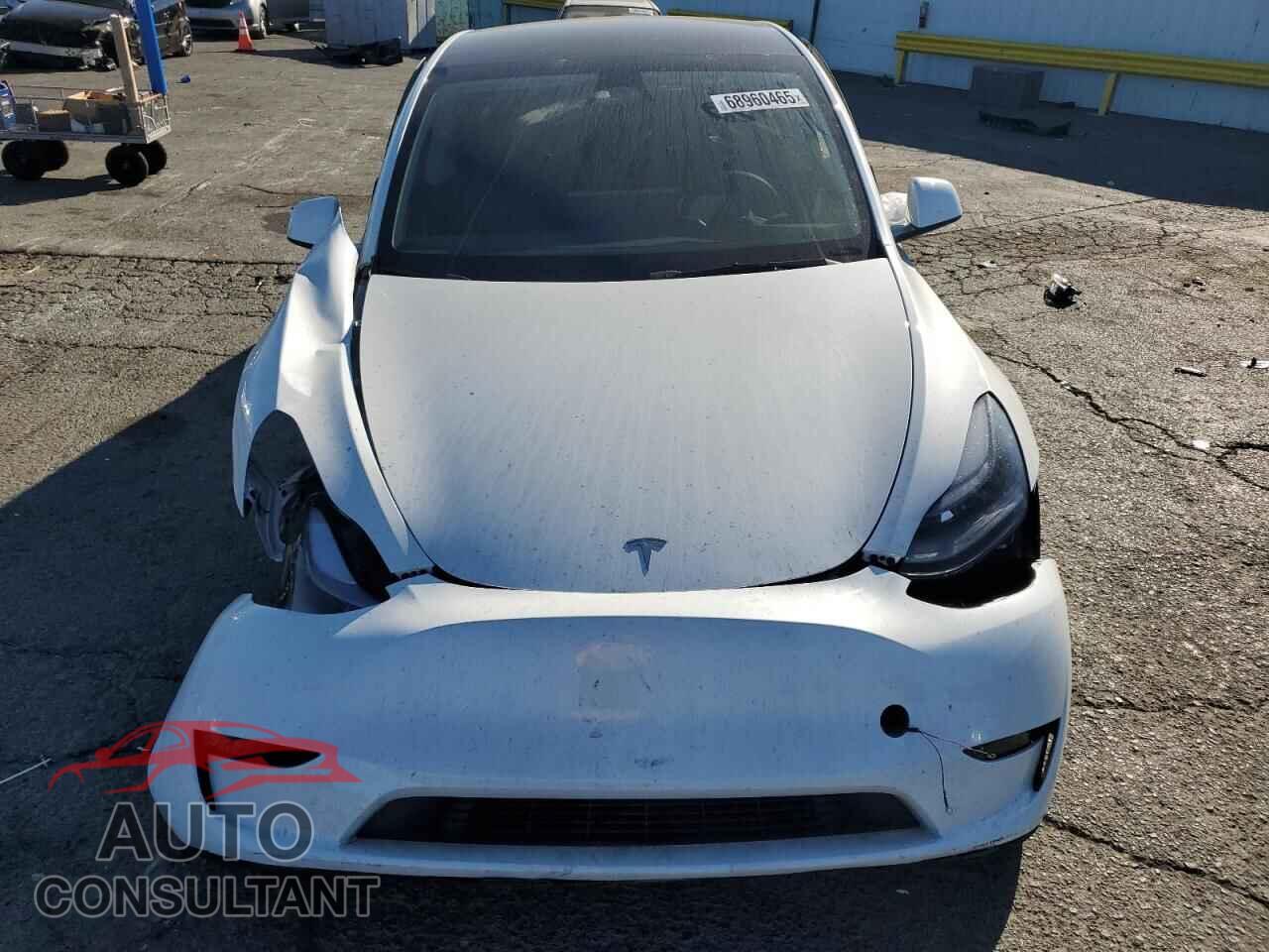TESLA MODEL Y 2025 - 7SAYGDEE3SF236434