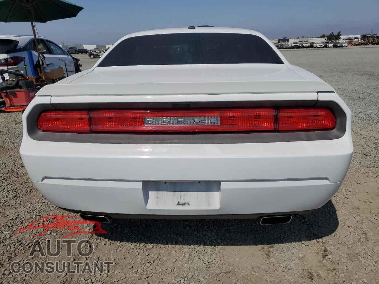 DODGE CHALLENGER 2013 - 2C3CDYBT9DH517858