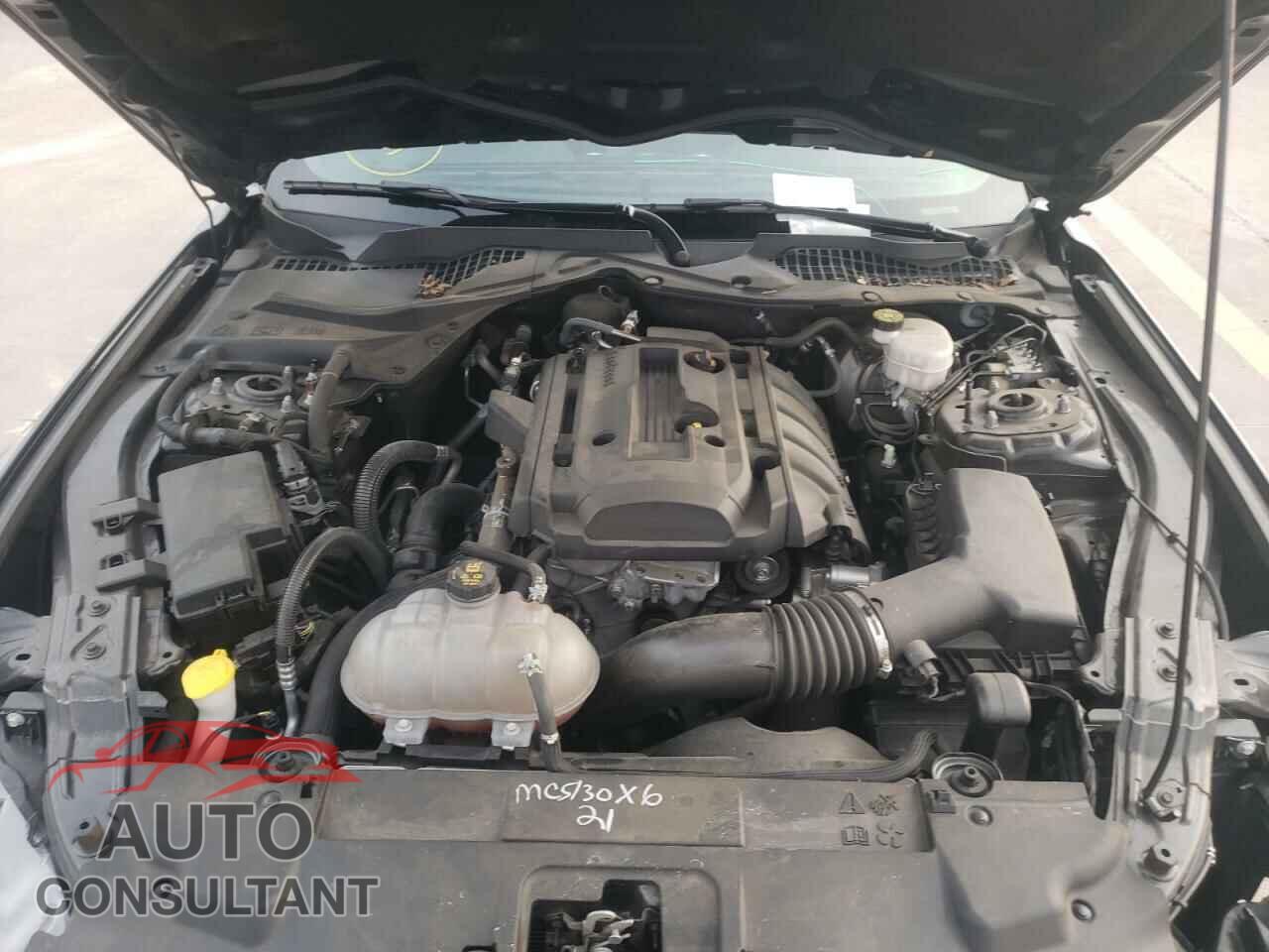FORD MUSTANG 2019 - 1FA6P8TH9K5112023
