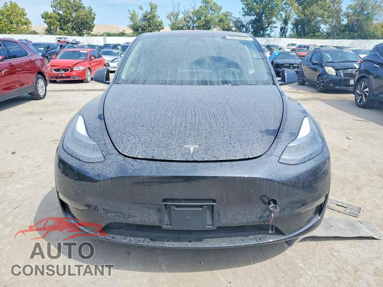 TESLA MODEL Y 2024 - 7SAYGDEE6RF195436