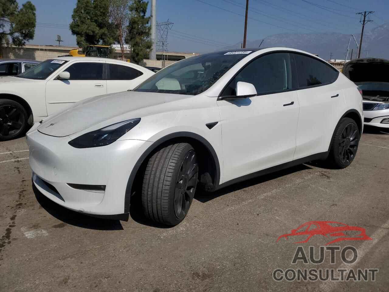 TESLA MODEL Y 2022 - 7SAYGDEF5NF382038