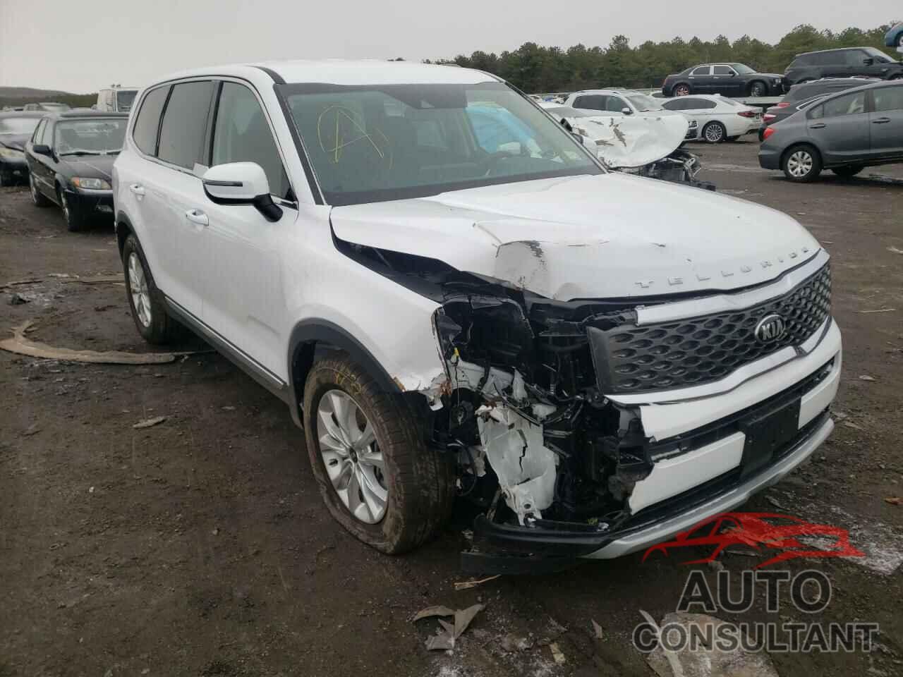 KIA TELLURIDE 2021 - 5XYP2DHC7MG169723