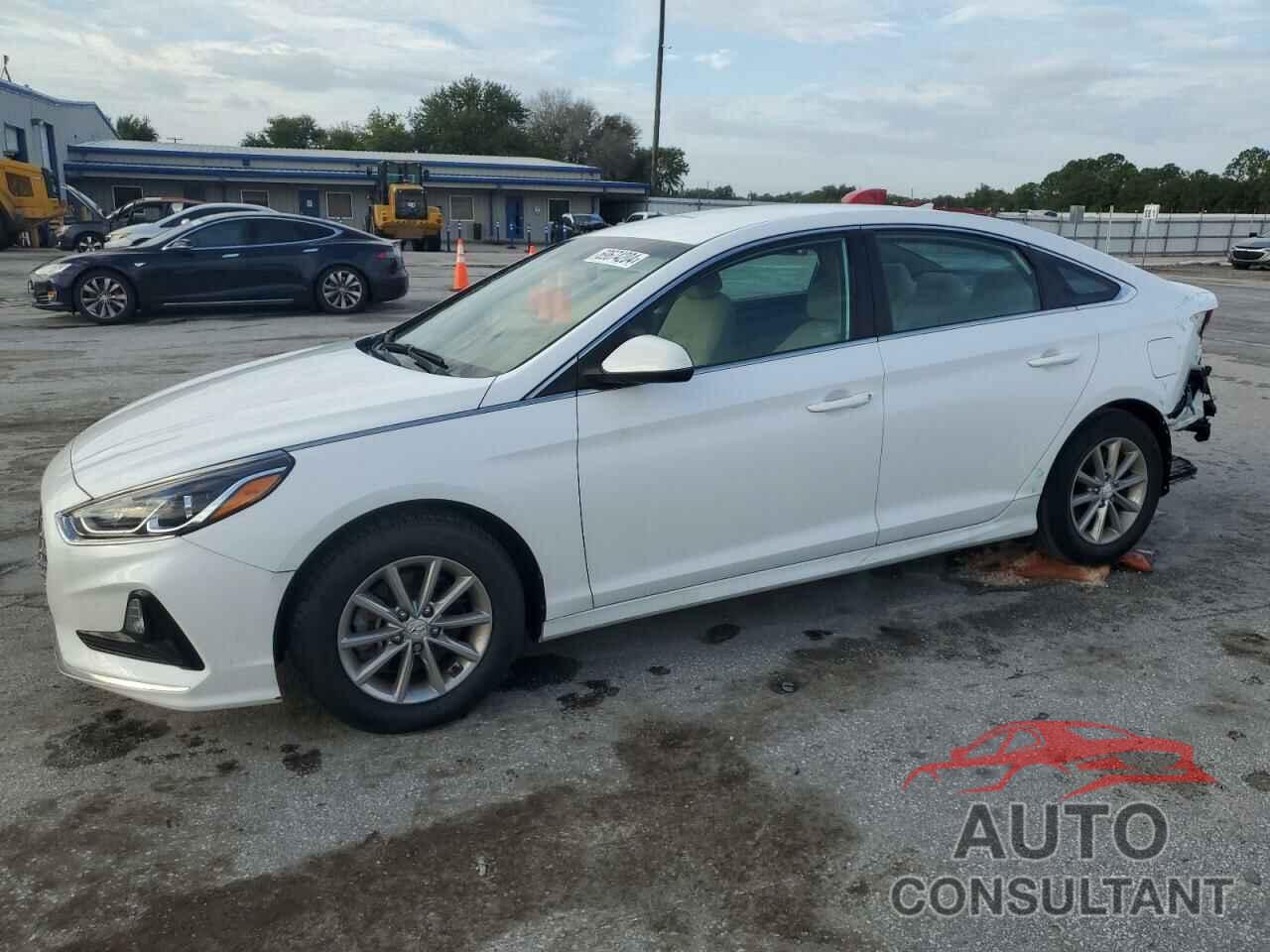 HYUNDAI SONATA 2019 - 5NPE24AF8KH806880