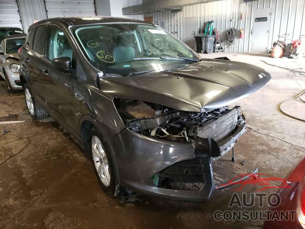 FORD ESCAPE 2016 - 1FMCU0G71GUA39747
