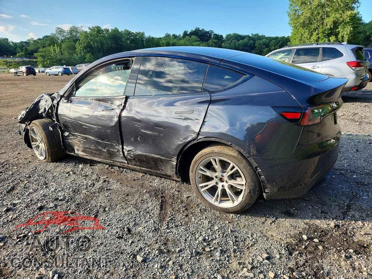 TESLA MODEL Y 2024 - 7SAYGDEE8RF988821