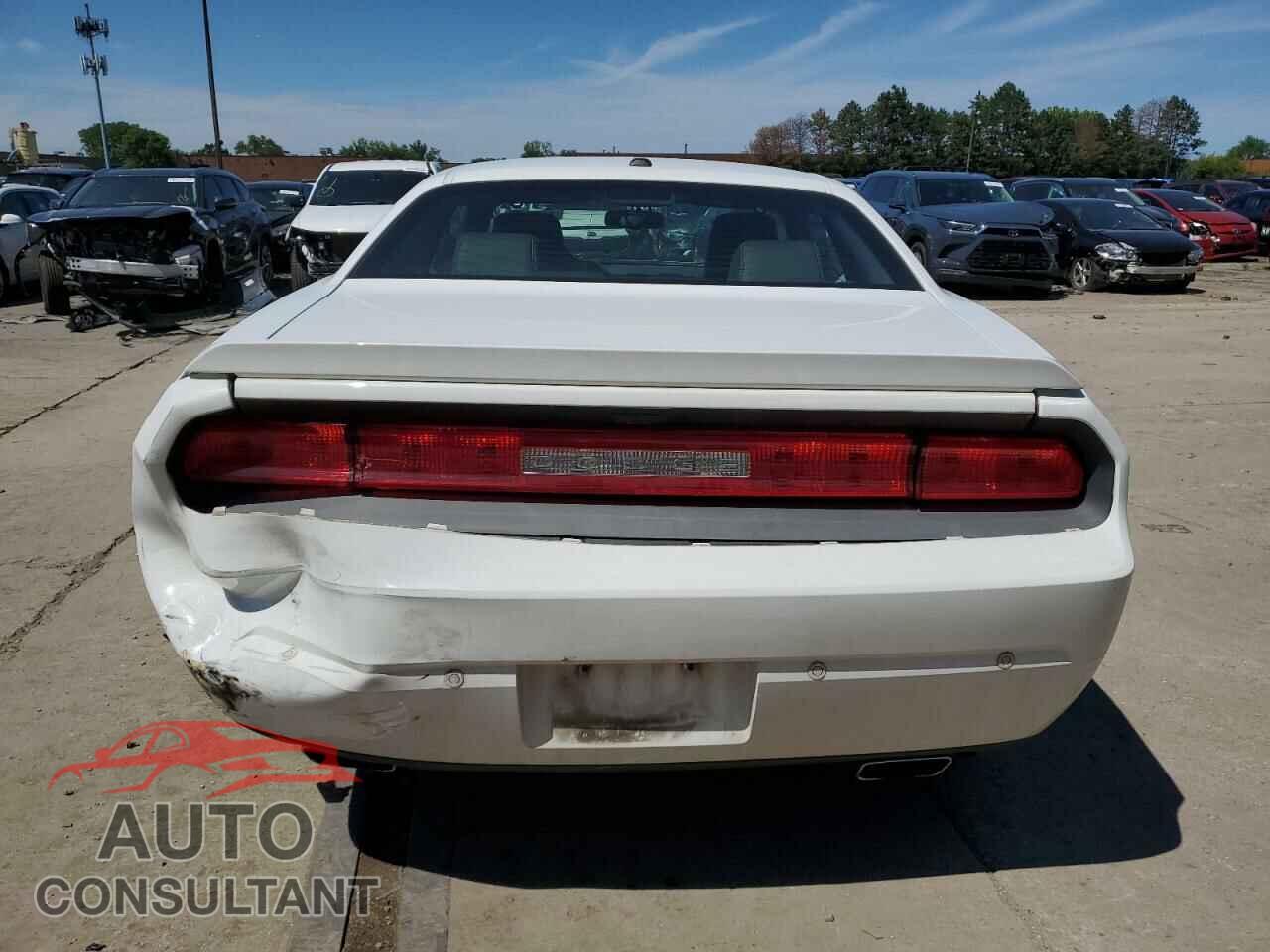 DODGE CHALLENGER 2013 - 2C3CDYBT2DH729193