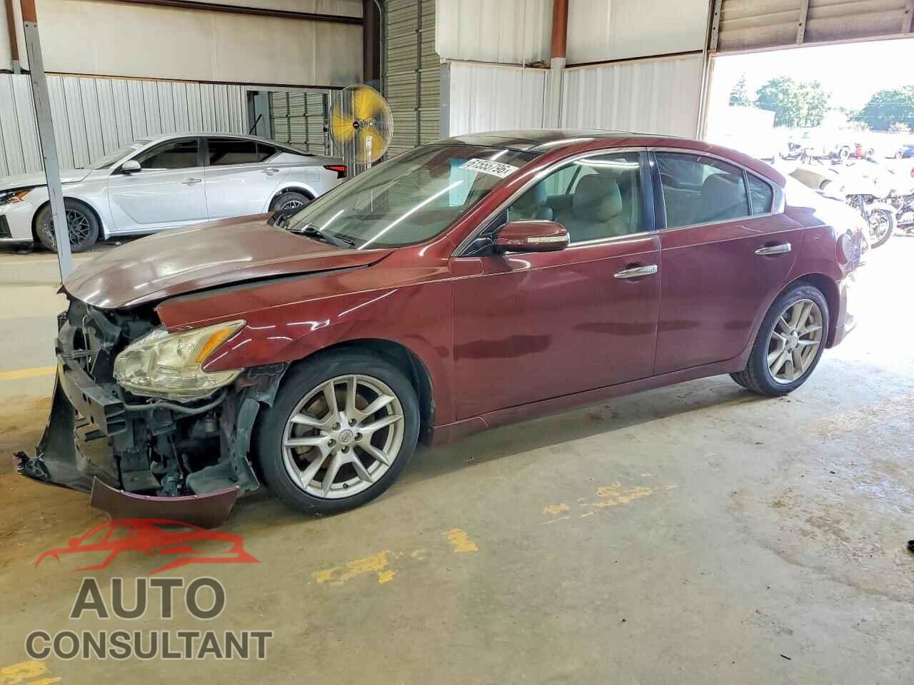 NISSAN MAXIMA 2011 - 1N4AA5AP1BC828866