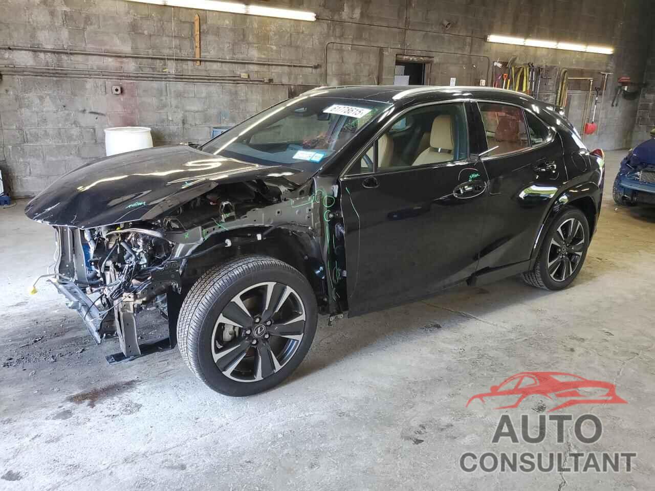 LEXUS UX 300H BA 2025 - JTHUCJDH9S2001166