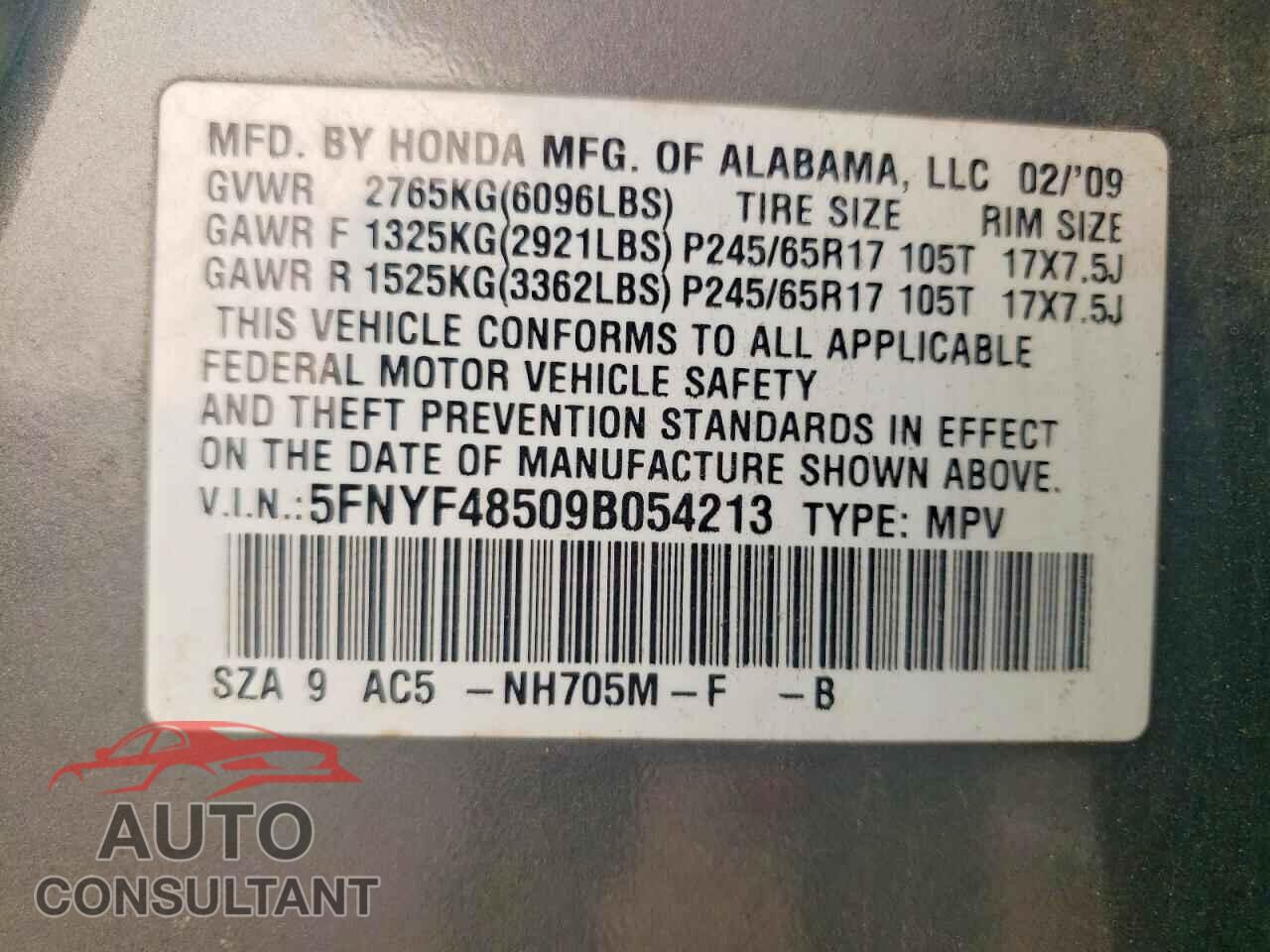 HONDA PILOT 2009 - 5FNYF48509B054213