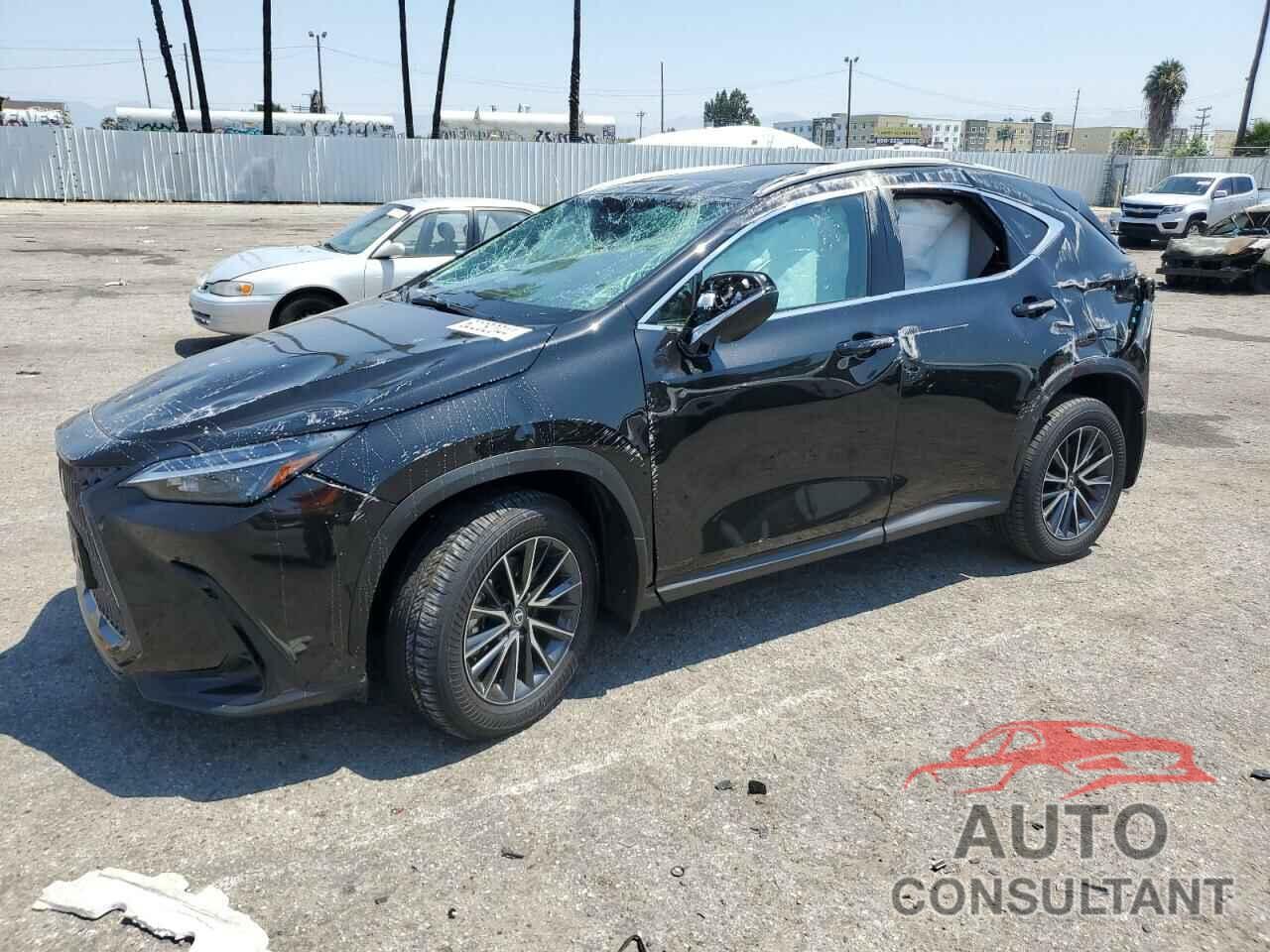 LEXUS NX 250 BAS 2024 - 2T2ADCAZXRC014722