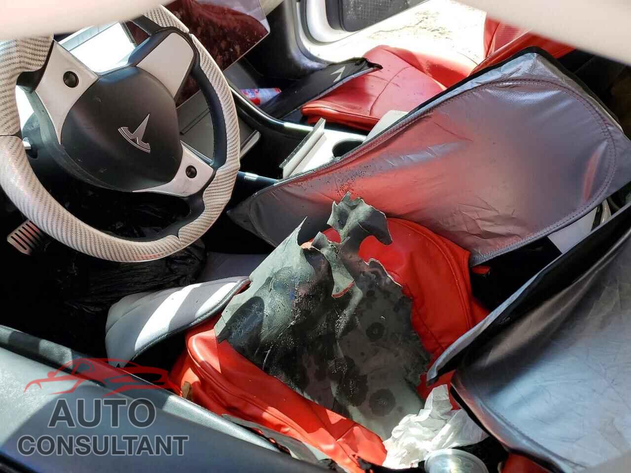 TESLA MODEL 3 2019 - 5YJ3E1EA5KF415941