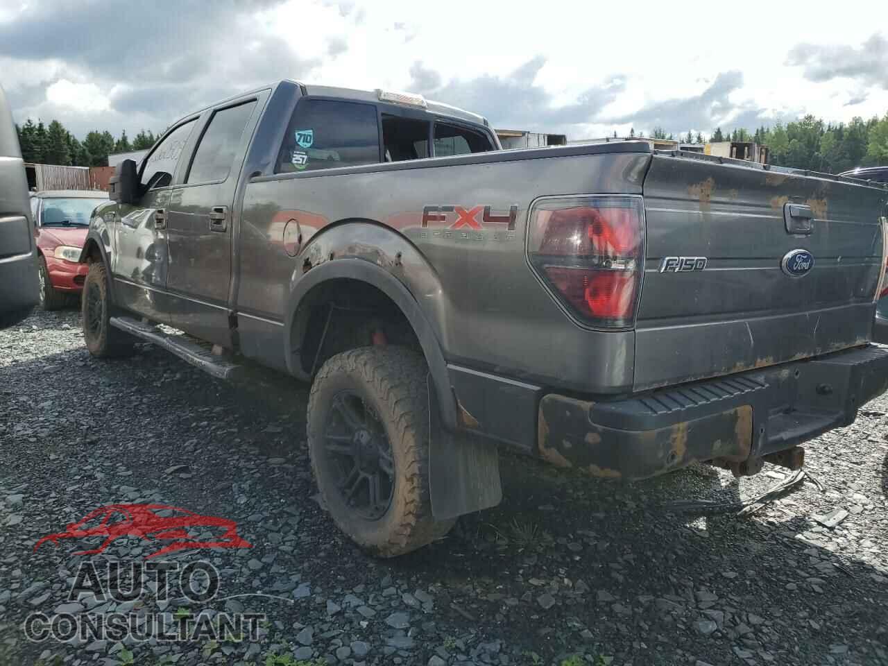 FORD F-150 2011 - 1FTFW1EF3BFB65102