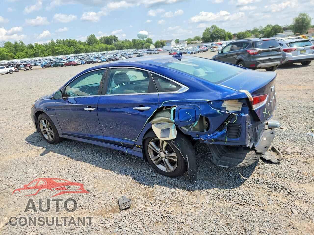 HYUNDAI SONATA 2019 - 5NPE34AF0KH746431
