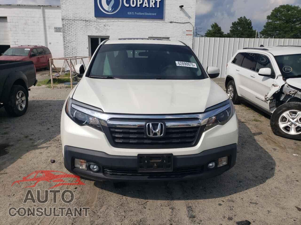 HONDA RIDGELINE 2019 - 5FPYK3F50KB019287
