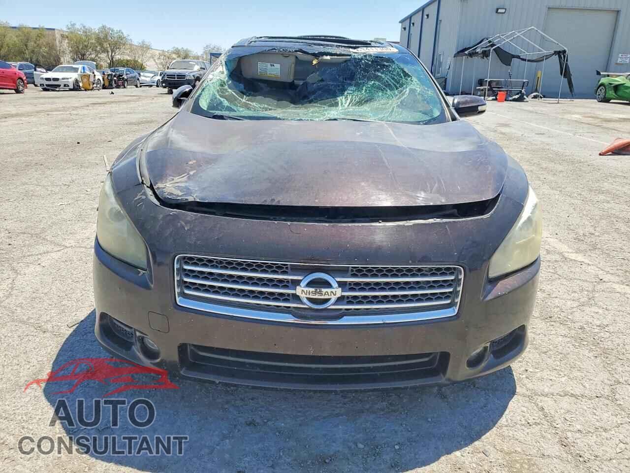 NISSAN MAXIMA 2011 - 1N4AA5AP7BC823204