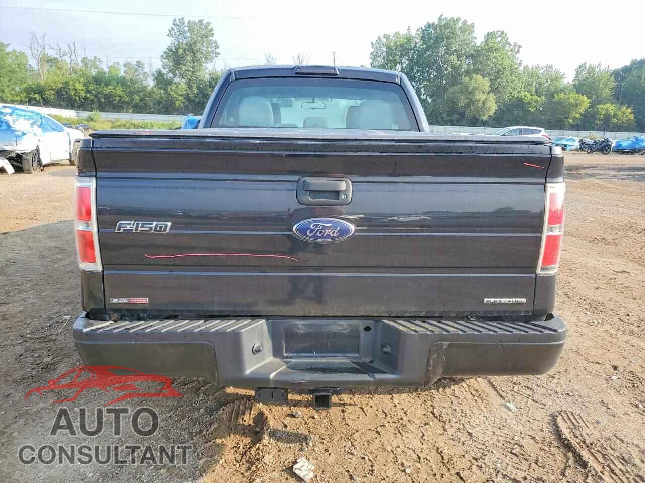 FORD F150 2014 - 1FTFX1EF2EFA43316