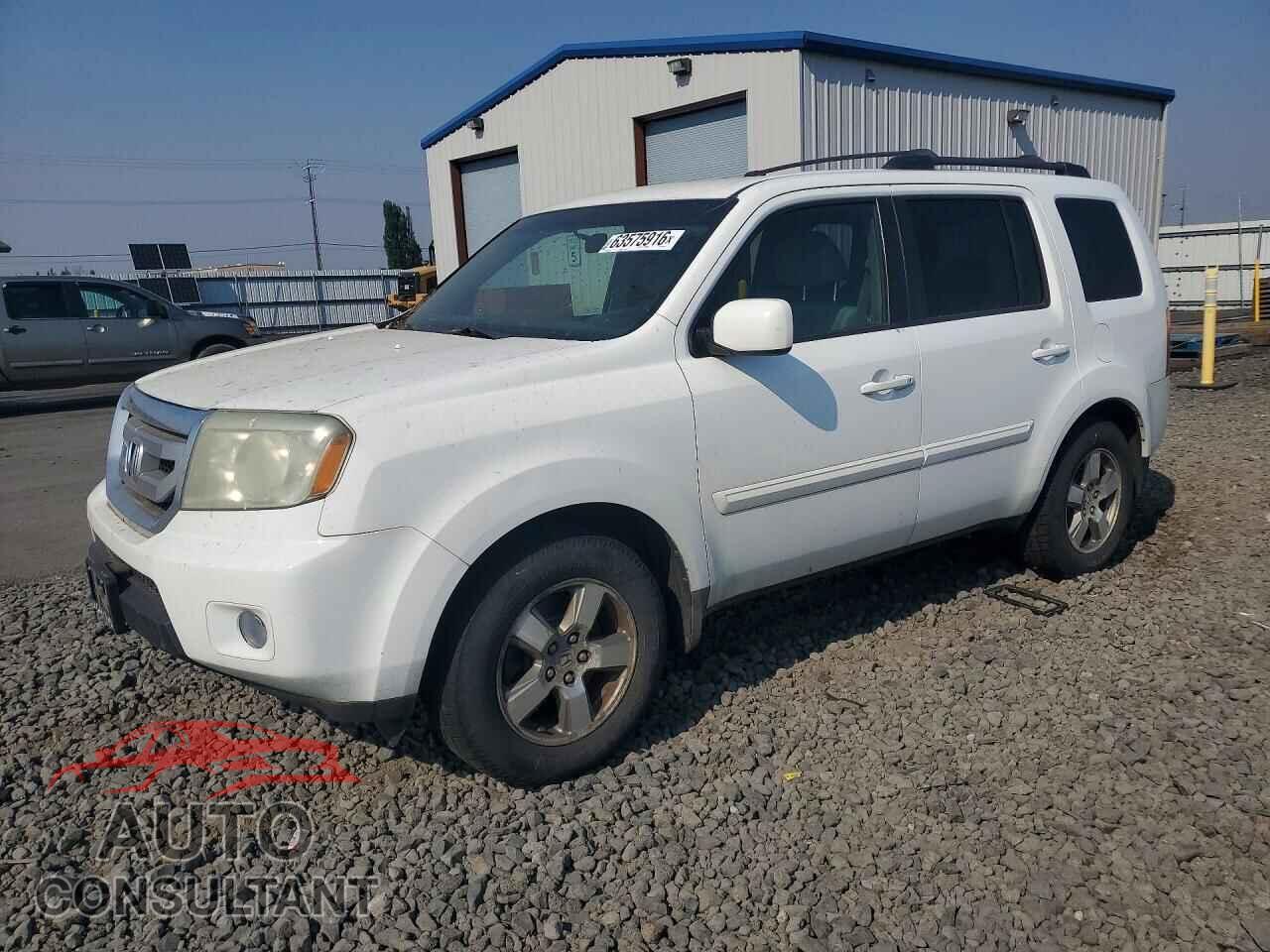 HONDA PILOT 2009 - 5FNYF48409B045647