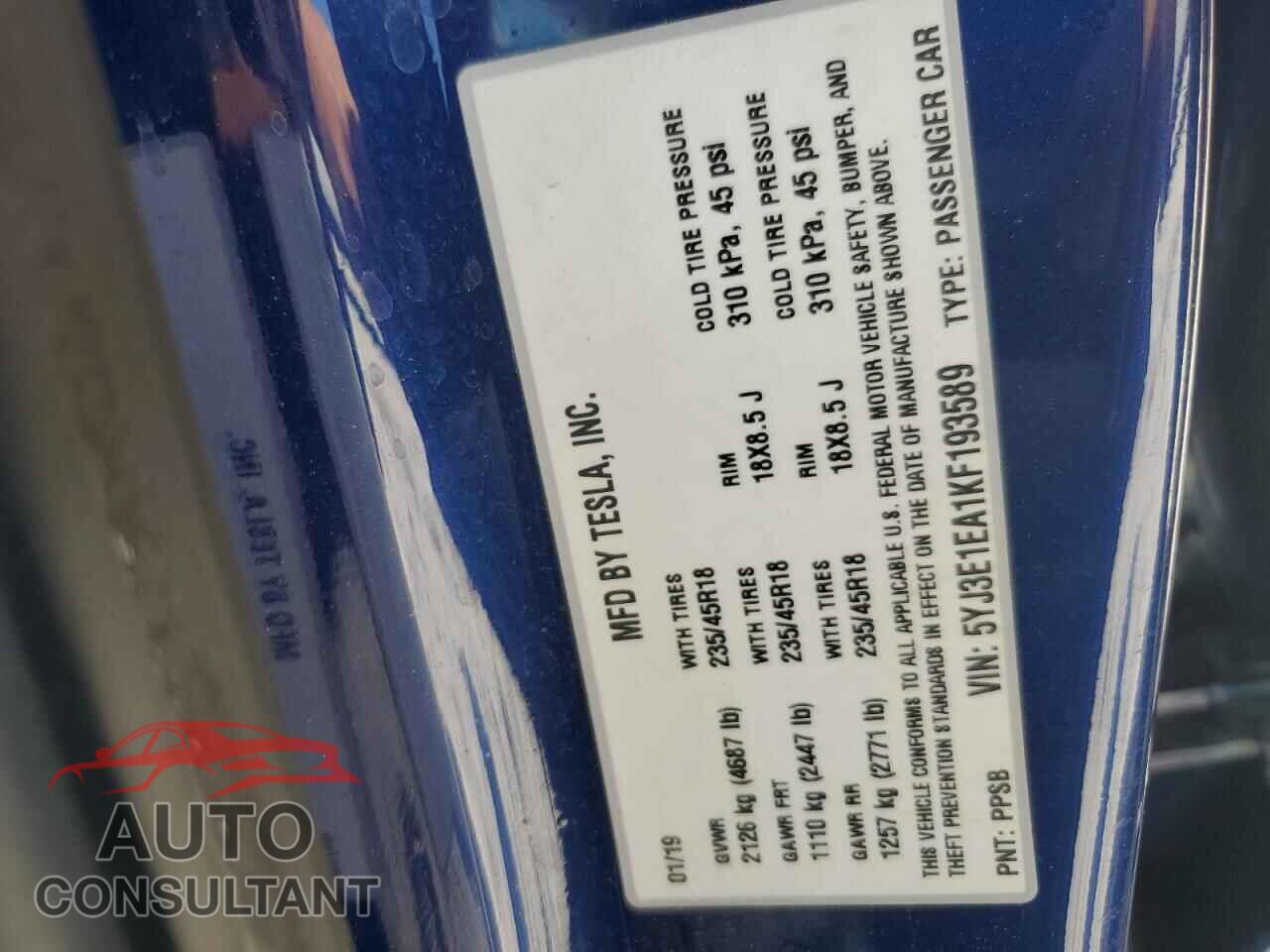 TESLA MODEL 3 2019 - 5YJ3E1EA1KF193589
