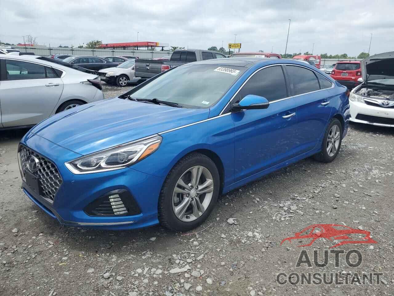 HYUNDAI SONATA 2019 - 5NPE34AF3KH766916
