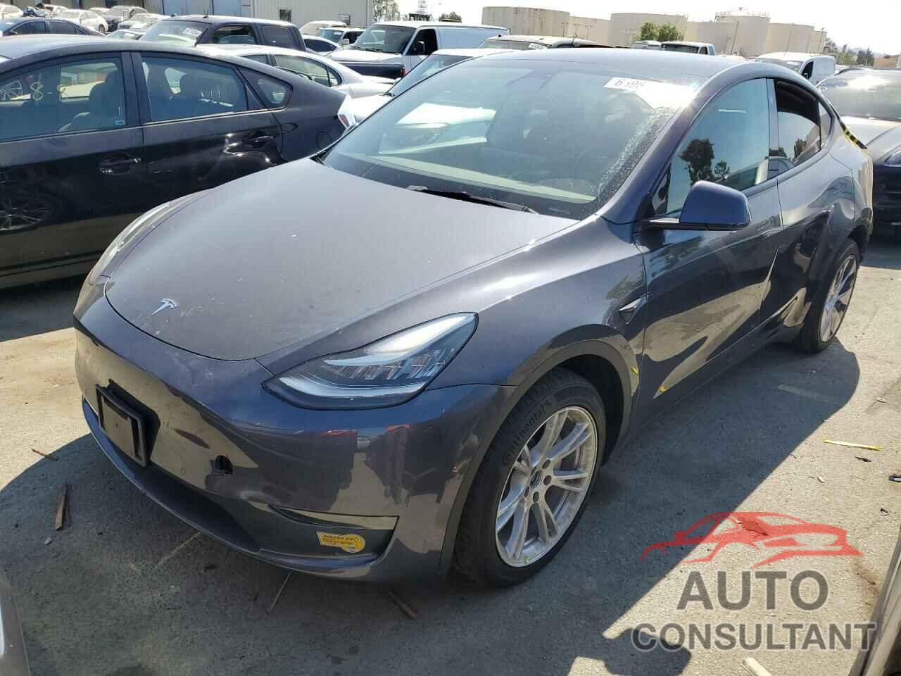 TESLA MODEL Y 2021 - 5YJYGDEE9MF295570